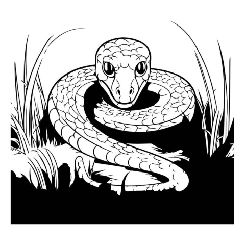 snake in the grass black and white vector illustration for color