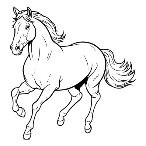 Horse. sketch for your design. Vector illustration ready for vin