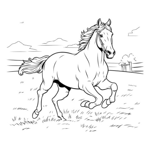 Horse running on the meadow. Black and white vector illustration