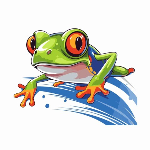 Frog on the water. Vector illustration isolated on white backgro