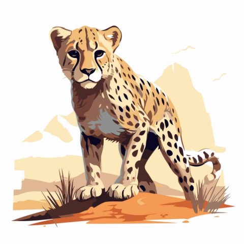 Cheetah in the desert. Vector illustration of a wild animal.