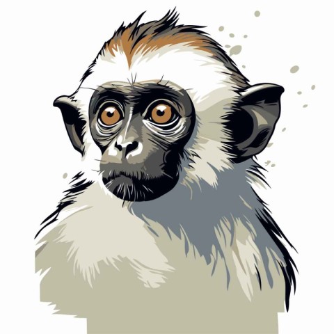 Portrait of a monkey on a white background. Vector illustration.