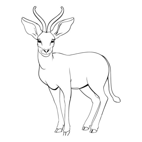 Black and white sketch of antelope isolated on white background.