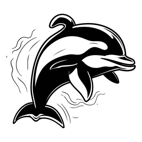 Dolphin. Black and white vector illustration. Isolated on white