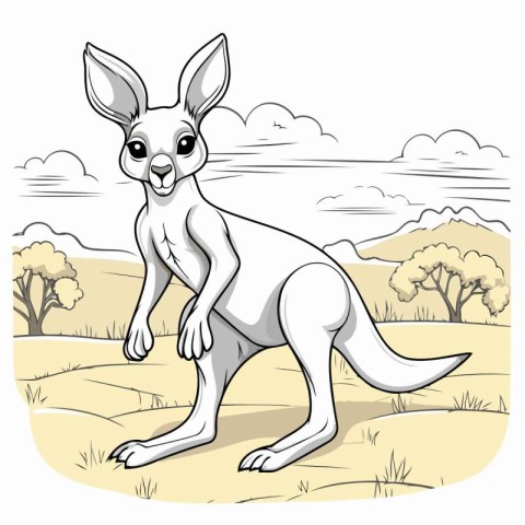 Kangaroo standing in the field. Hand drawn vector illustration.