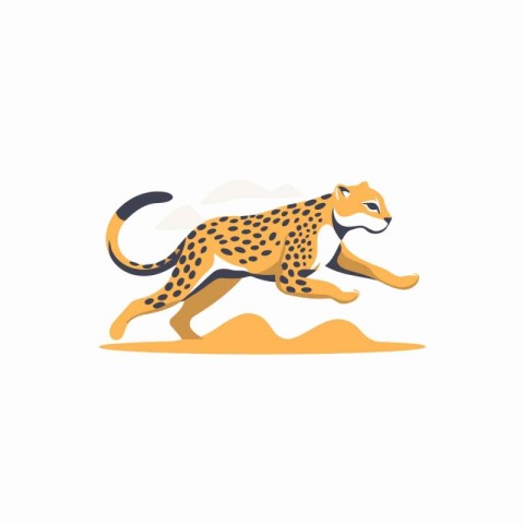 Cheetah running in the desert vector Illustration on a white bac