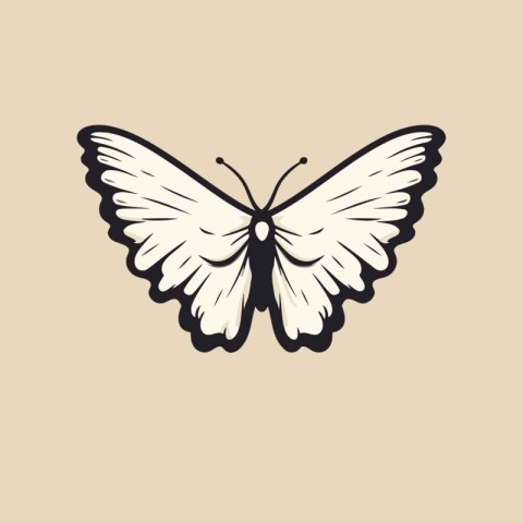 Butterfly vector illustration. Isolated on a white background.