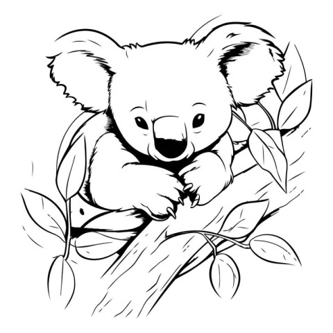 Cute koala in the eucalyptus tree. Vector illustration.