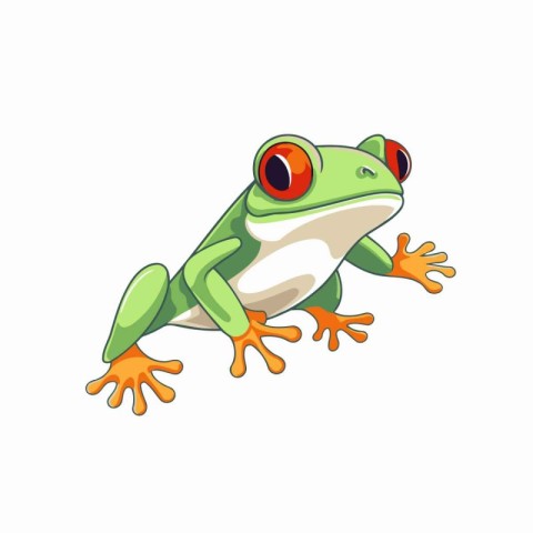 Frog cartoon character. Vector illustration isolated on a white