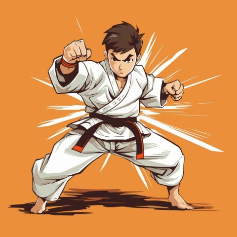 Martial arts fighter. Vector illustration of a karate man.