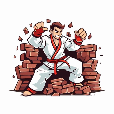 Karate man in kimono. Martial arts. Vector illustration