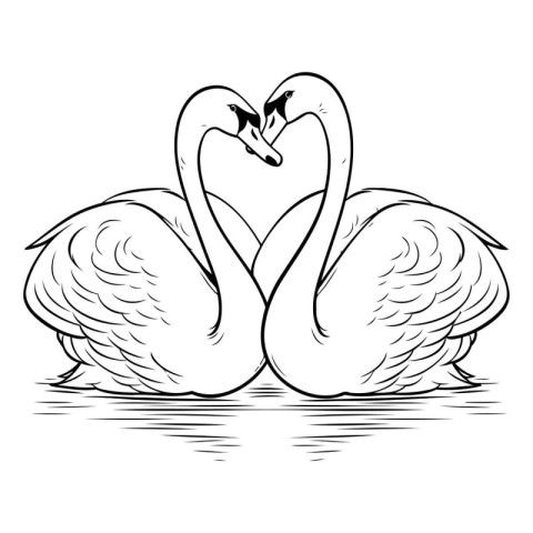 Swan couple in love. Black and white vector illustration for col