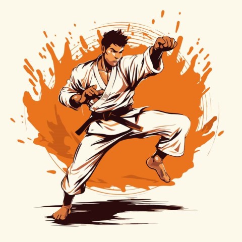 Karate man in kimono. Martial arts. Vector illustration