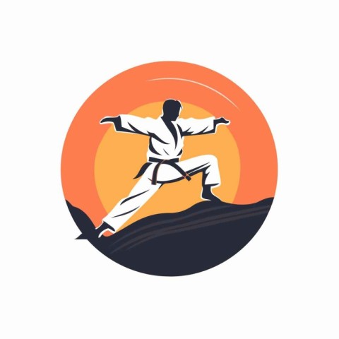 Taekwondo. Vector illustration of a taekwondo fighter