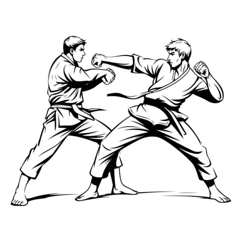 Vector illustration of a pair of karate fighters on white backgr