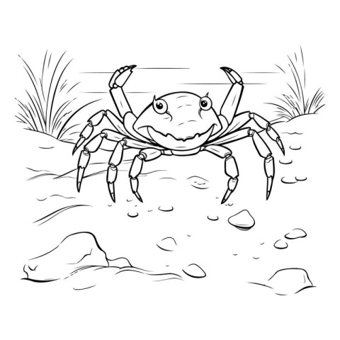 Crab on the beach. Vector illustration. Coloring book for childr