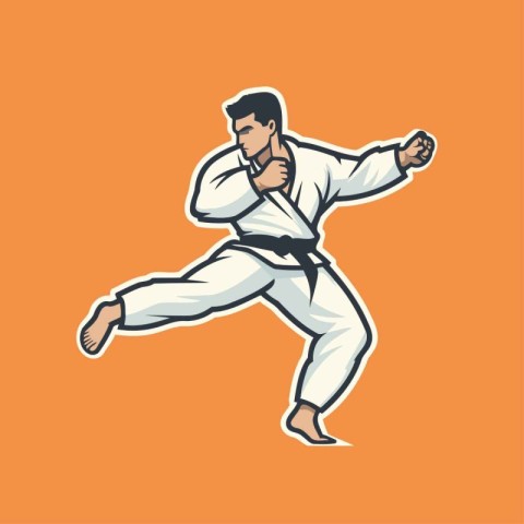 Taekwondoial arts. taekwondo. karate. taekwondo vector illustrat