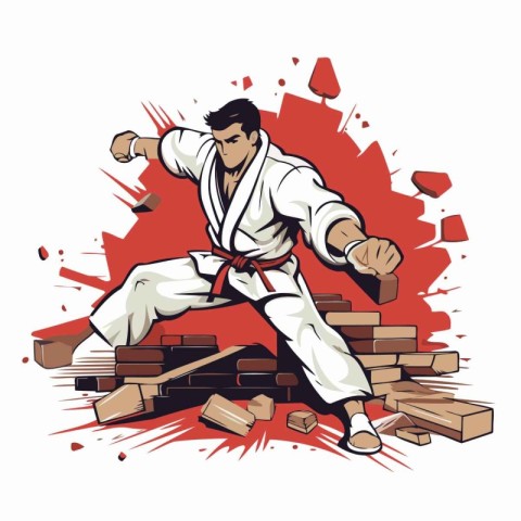 Martial arts fighter. Karate vector illustration. Martial arts t