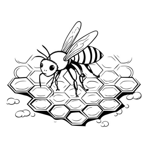 Black and white illustration of a bee on a honeycomb. Isolated o