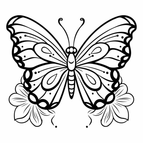 Butterfly in doodle style. Black and white vector illustration.