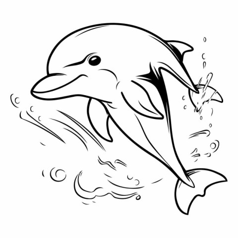 Dolphin jumping out of water. Black and white vector illustratio