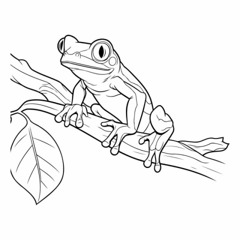 Vector illustration of a frog on a branch. Coloring book for chi