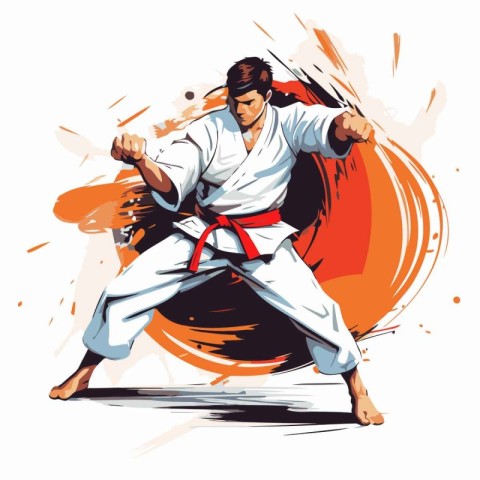 Karate man in kimono. Martial arts. Vector illustration.