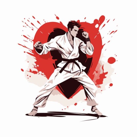 Karate illustration - karate man in kimono. Vector illustration