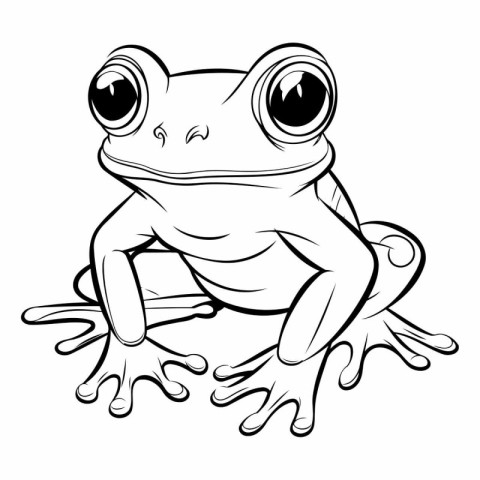 illustration of a cartoon frog on a white background. vector ill