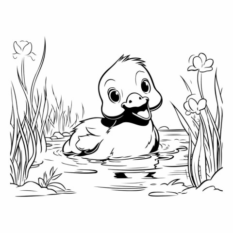 Duckling swimming in the pond. Black and white vector illustrati