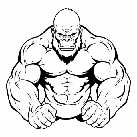 Vector illustration of strong gorilla bodybuilder on white backg