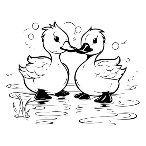 Duckling couple on the water. black and white vector illustratio