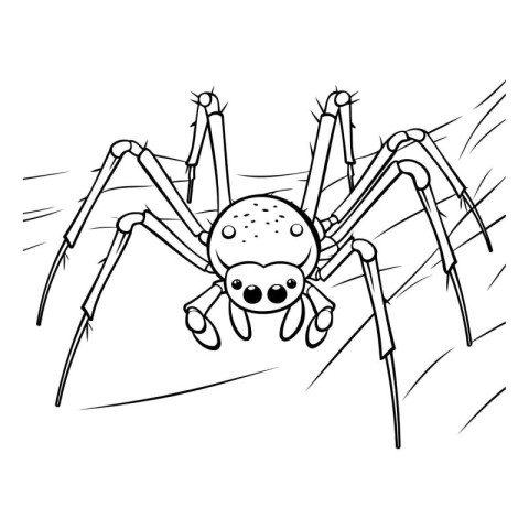 Cartoon spider. Black and white vector illustration for coloring