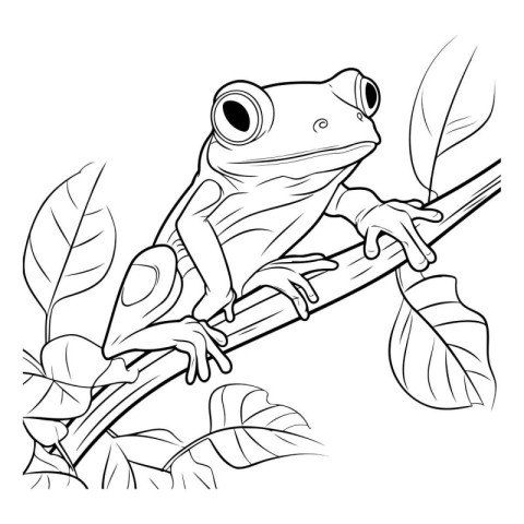 Frog on a branch. Coloring book page for adults.