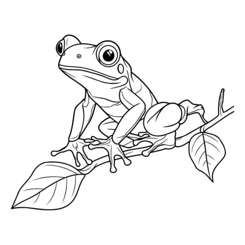 Frog on a branch. Coloring book for children. Vector illustratio