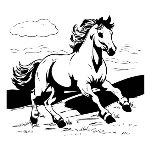 Horse in the field. Black and white vector illustration for your