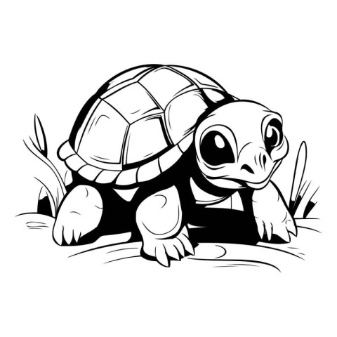 Tortoise - vector illustration. isolated on a white background.