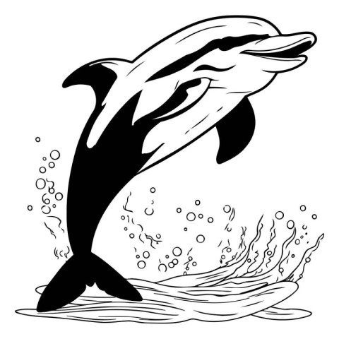 Dolphin jumping out of the water. Black and white vector illustr