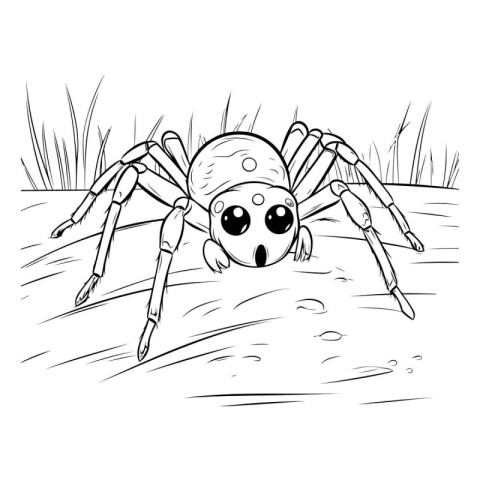 Cartoon spider. Black and white vector illustration for coloring