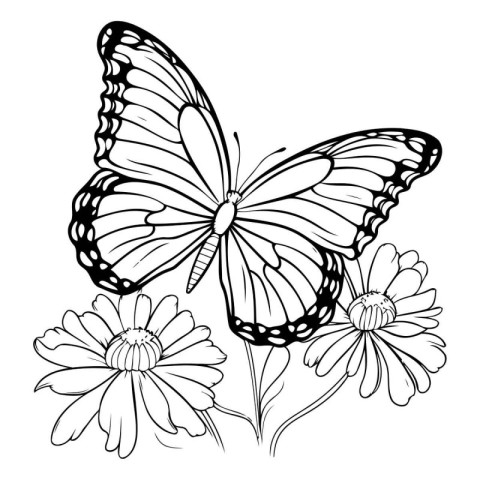 butterfly and flower. black and white vector illustration. color