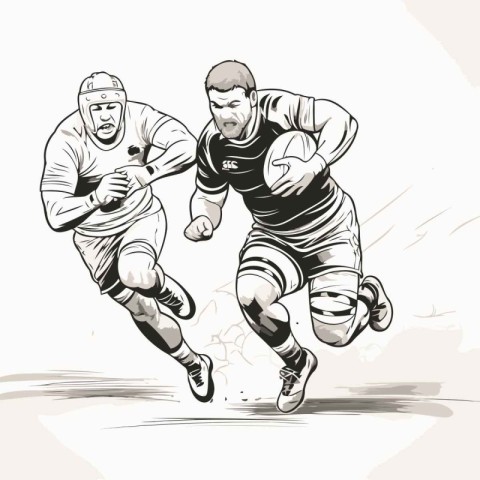 Rugby players in action. Vector illustration of rugby players.