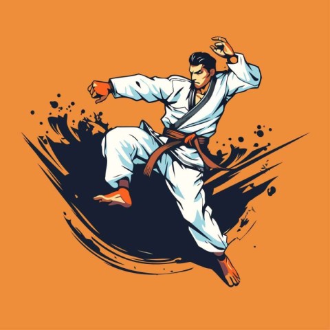 Taekwondo. Vector illustration of a karate fighter.