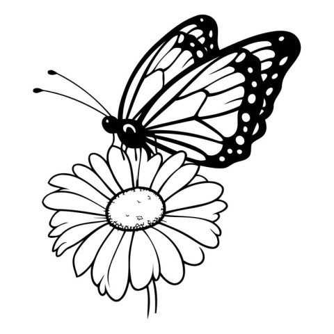 Butterfly and flower. Black and white vector illustration isolat