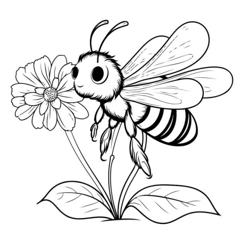 Bee and flower. black and white vector illustration for coloring