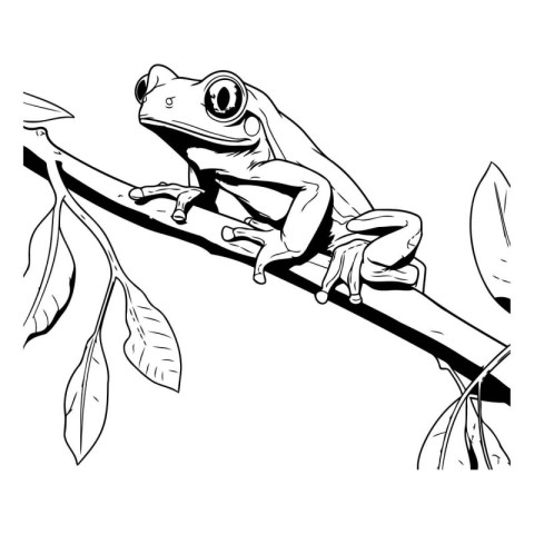 illustration of a frog sitting on a tree branch. sketch for your