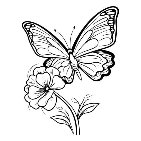 Butterfly and flower. Vector illustration. Black and white.