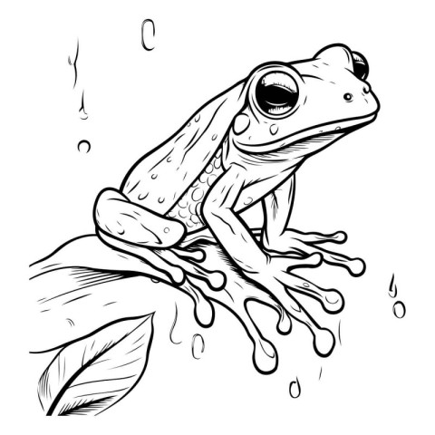 Frog sitting on a leaf. Vector illustration in black and white.