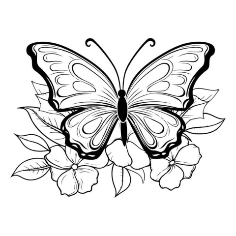 Butterfly with flowers. Black and white vector illustration for