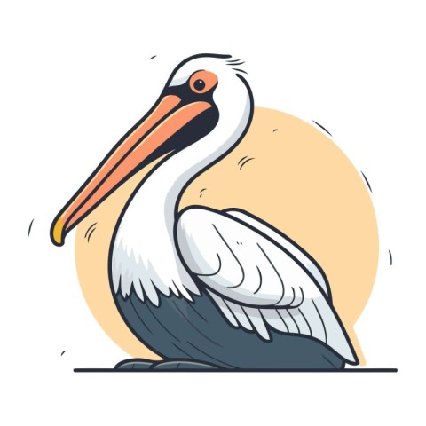 Pelican vector illustration. Isolated pelican on white backgroun