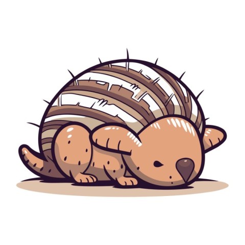 Cute little armadillo. Vector illustration isolated on white bac